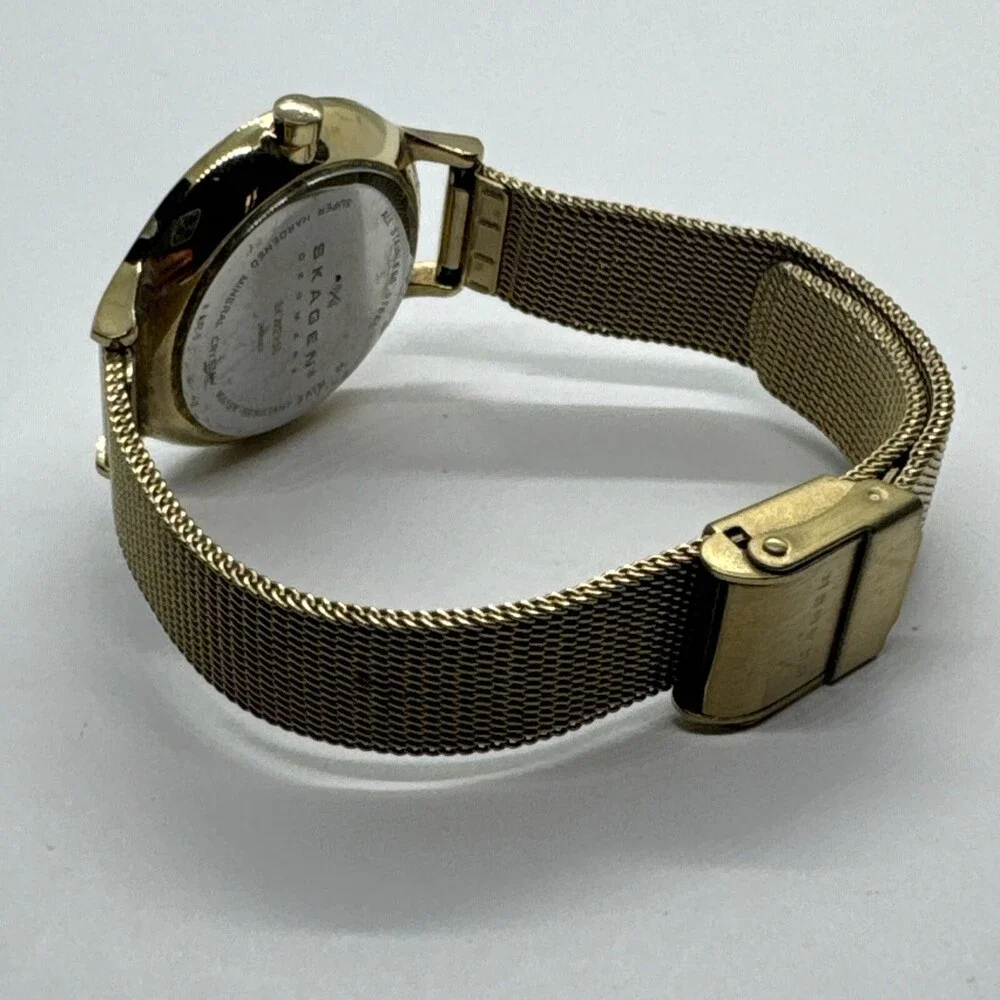 Skagen Anita Lille SKW2150 Women's Gold Stainless Steel Mesh Analog Watch AEA309